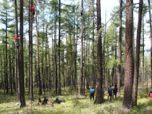 008 Tree Climbing Training Tunkhel